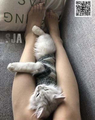 免费国产成人午夜福利_国产剧电影全集观看