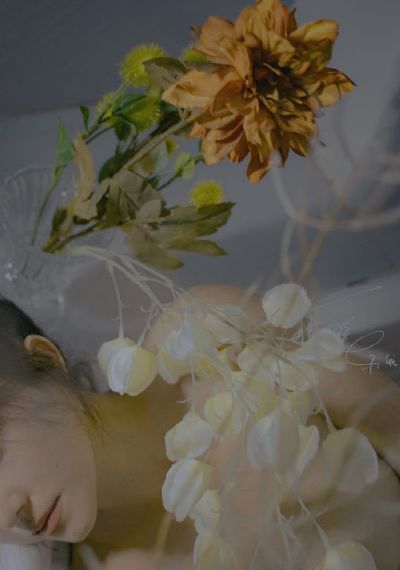 18厘米挺进校花_BD国语在线观看高清